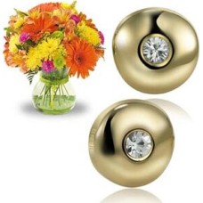 Breil Vertigo Earrings + Flowers (Curated)